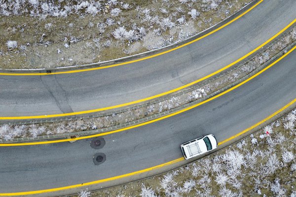 Quels véhicules écologiques dominent le marché actuel ?